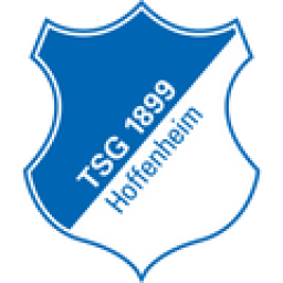 霍芬海姆二队队标
